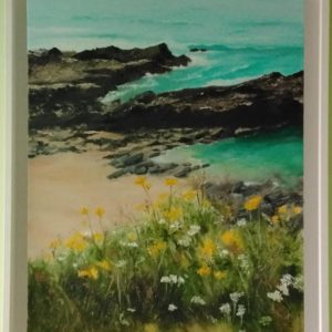 Whipsderry Newquay