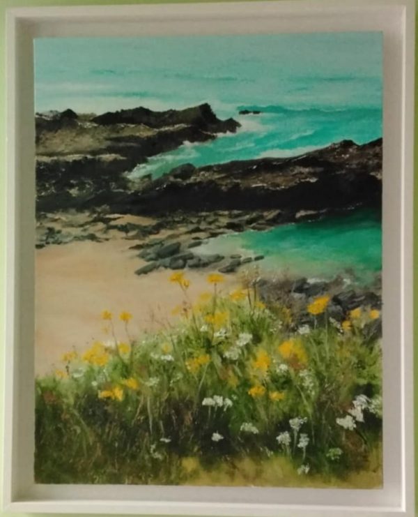 Whipsderry Newquay